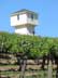 silver oak